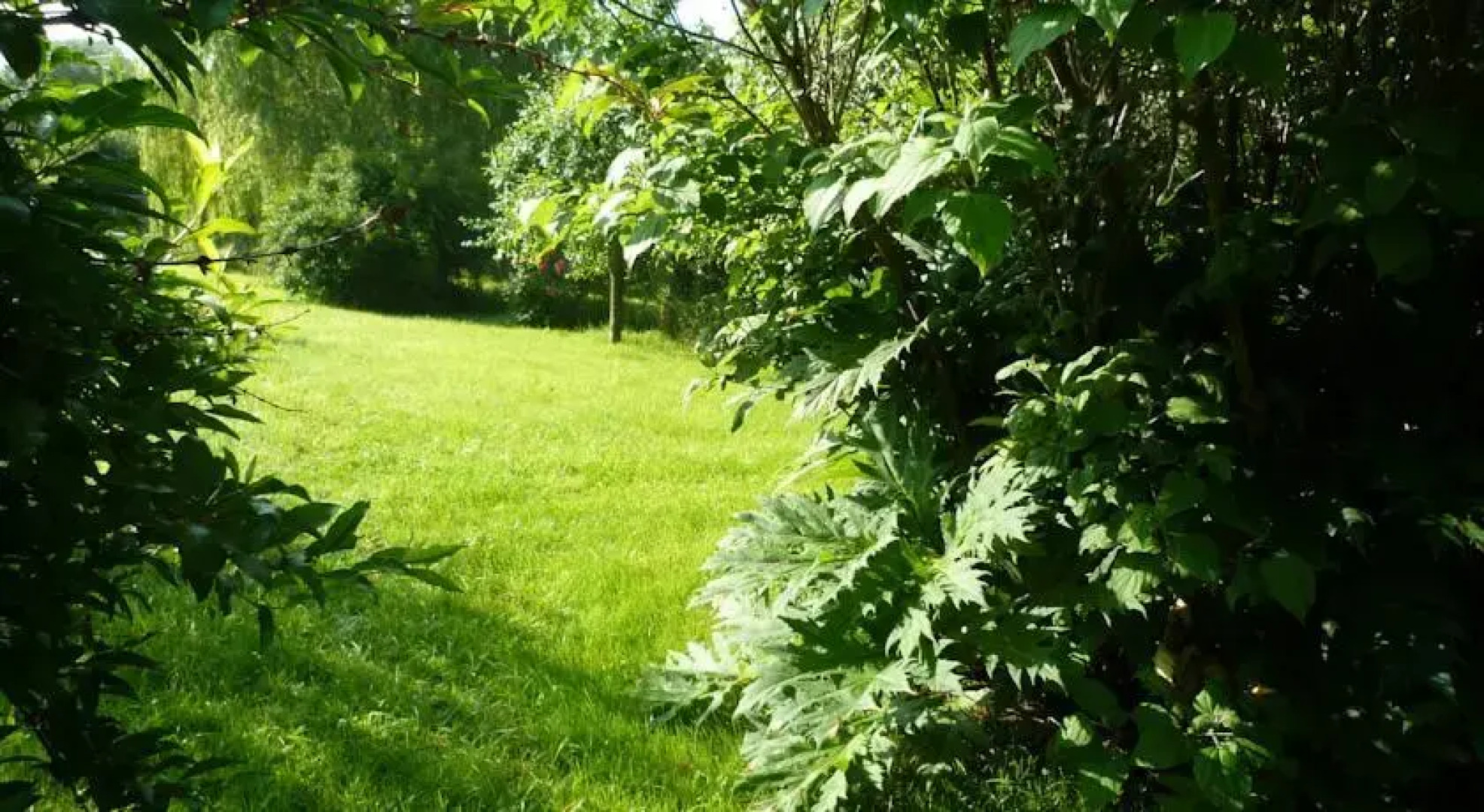 Gîte de charme Les Petits Matins Bleus