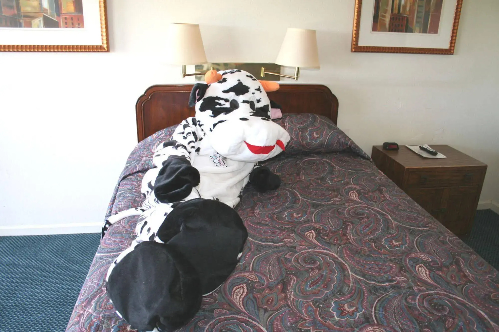 Town and Country Motel