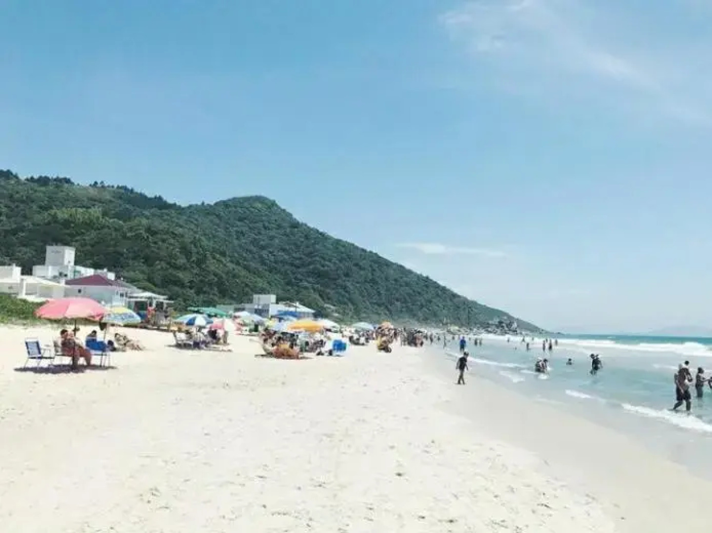 Palmas em Gov Celso Ramos-Cobertura