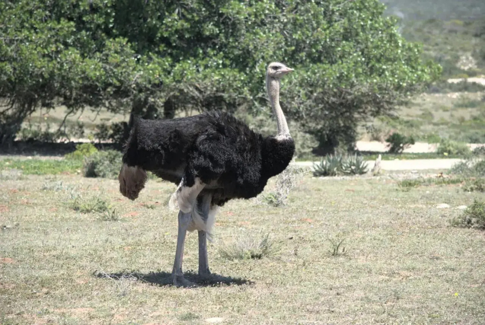 Melkkamer Manor House