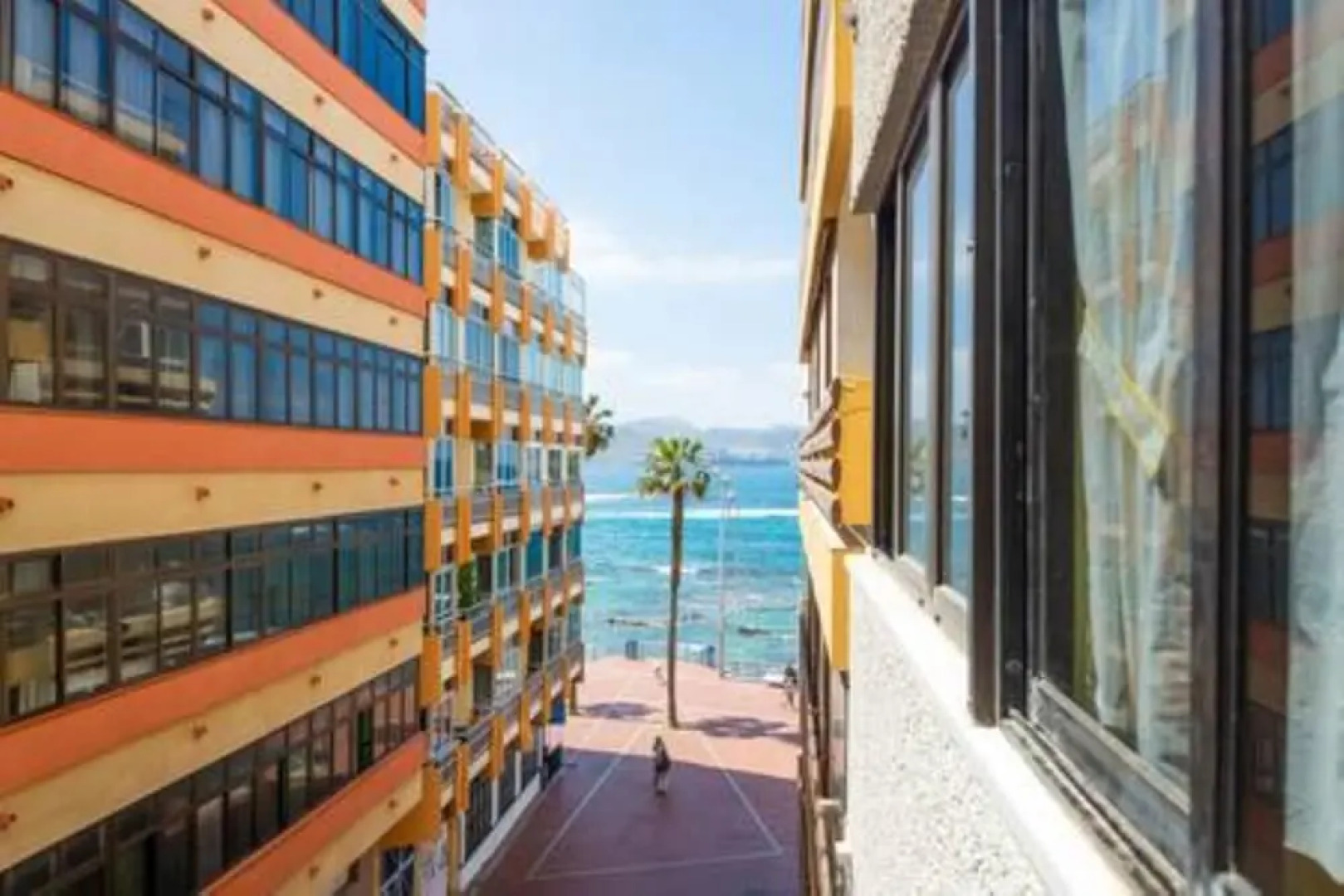 Sea Stars Las Canteras