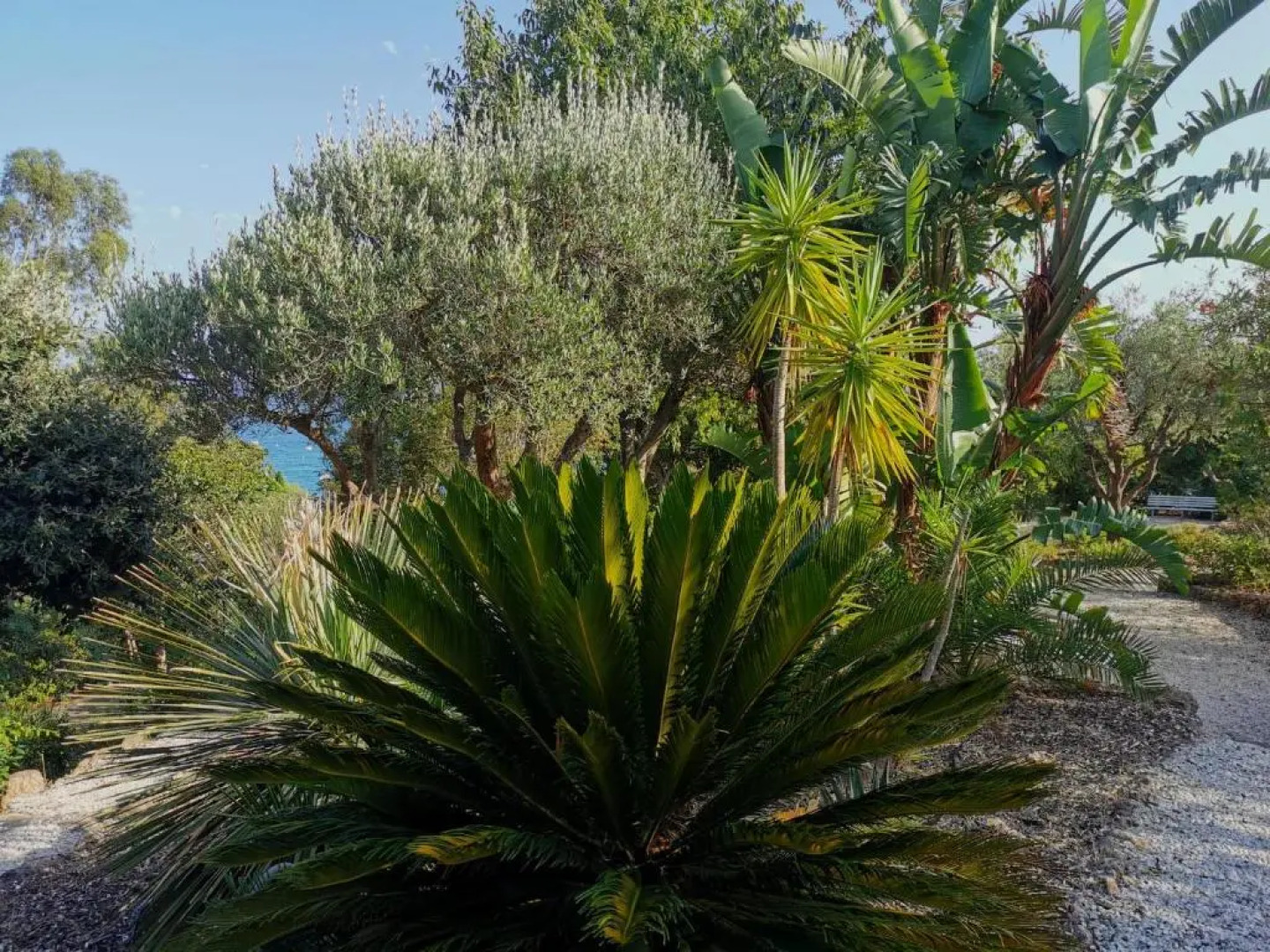 Residence du Canadel