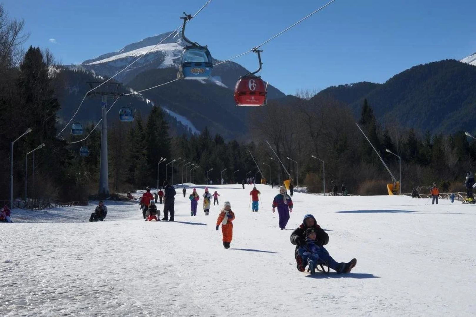 Royal Park Hotel and Apartments