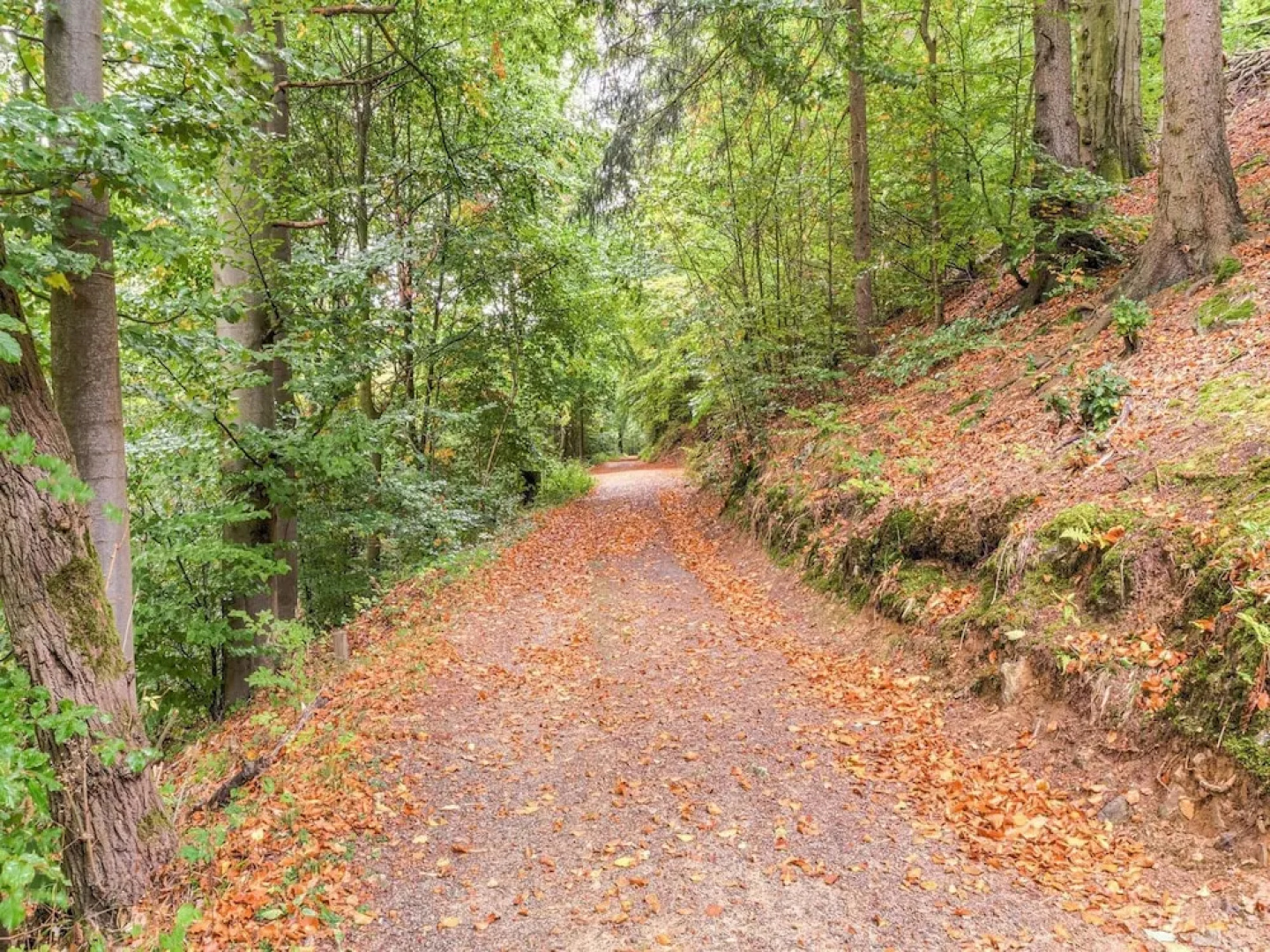 Historisches Forsthaus Harz