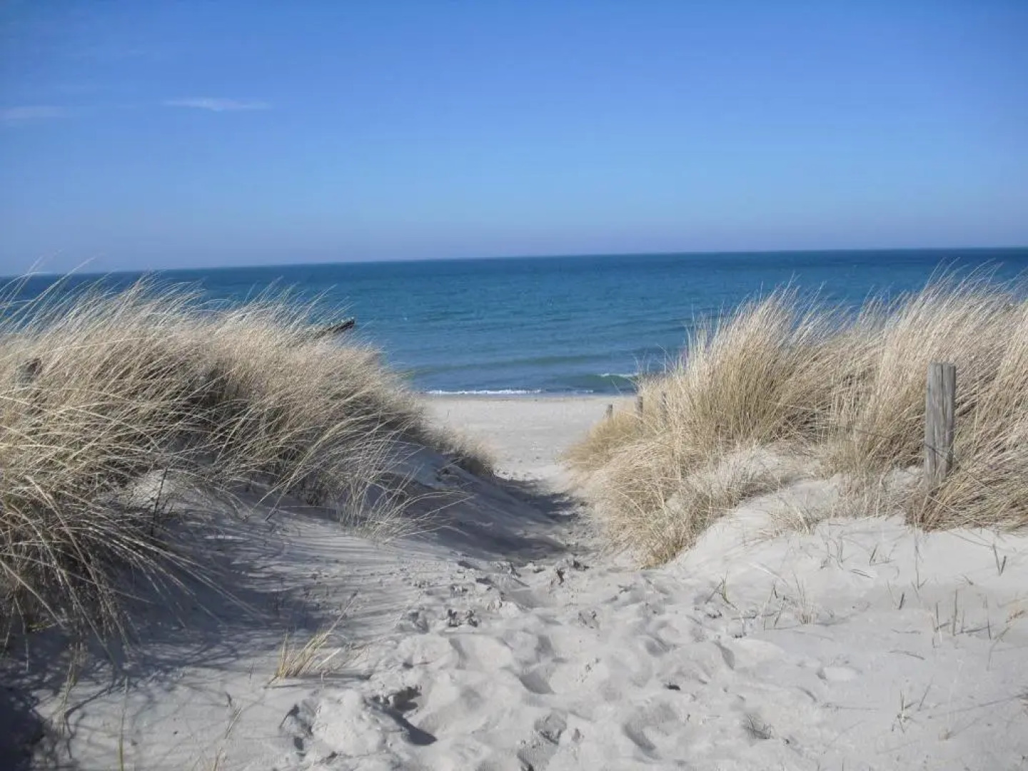Ferienwohnung-Ostseestrand