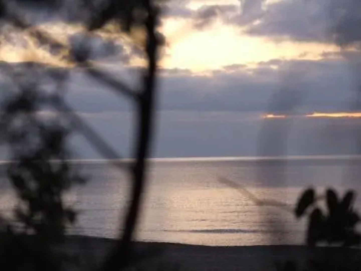 Vacanze Toscane In The Country