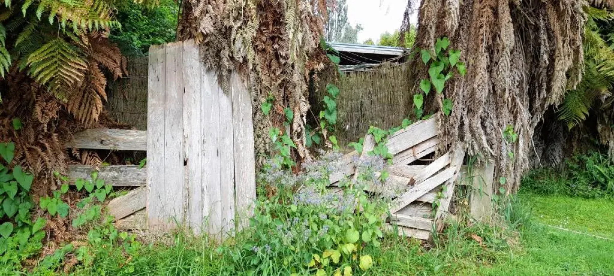 Earthsounds Country Cottage