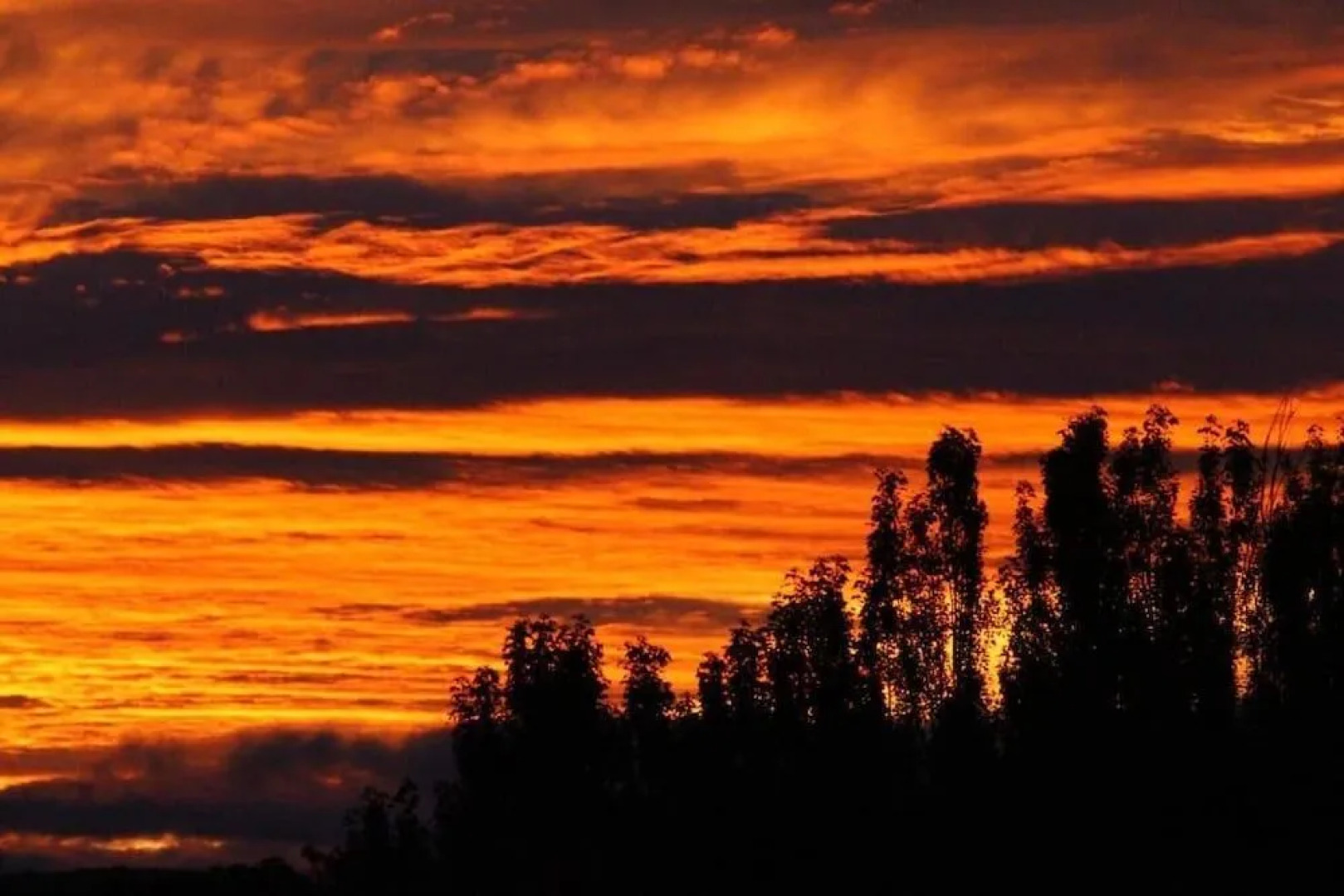 Ross B&B Accommodation