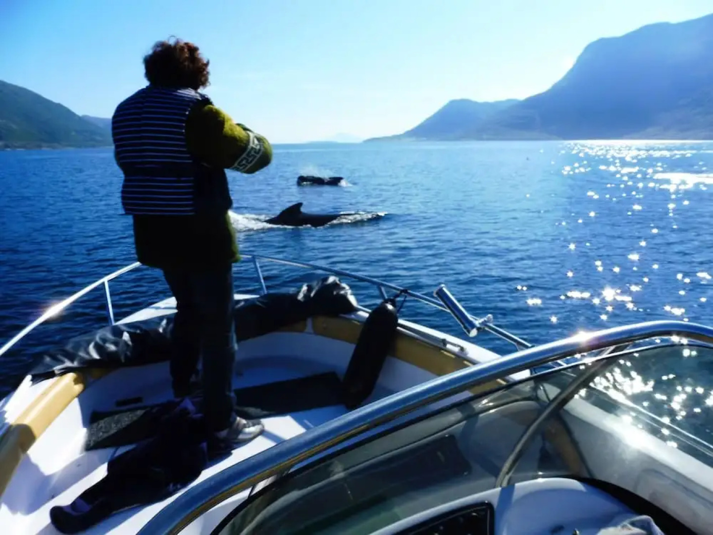 Fiskesenter Birkeland