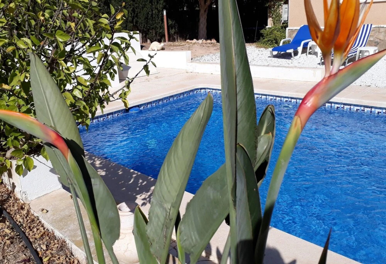 Villa With 3 Bedrooms in Ciudad Quesada, With Wonderful sea View, Private Pool, Enclosed Garden Near the Beach
