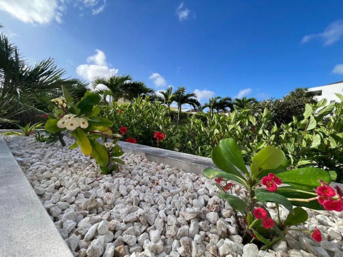 NEWLY STYLED Beach house 'White Sands' GreenView BlueBay Golf & Beach Resort Curaçao 2 bedrooms 2 bathrooms Gated Community Ground Floor Terrace Including Pool & Beach Access Fully Airconditioned Family Friendly