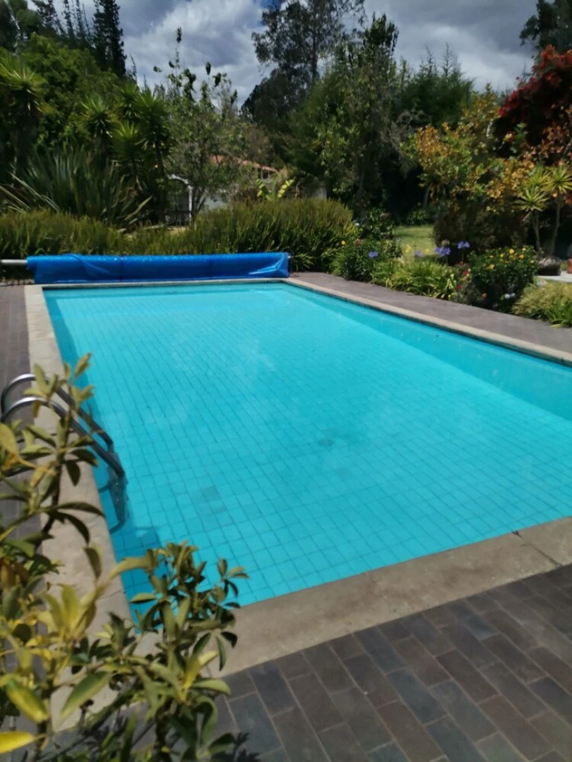 La Granja de Papá Alberto