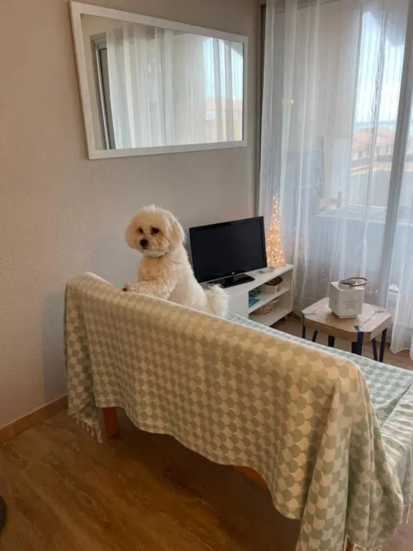 Soleil Des Marquises