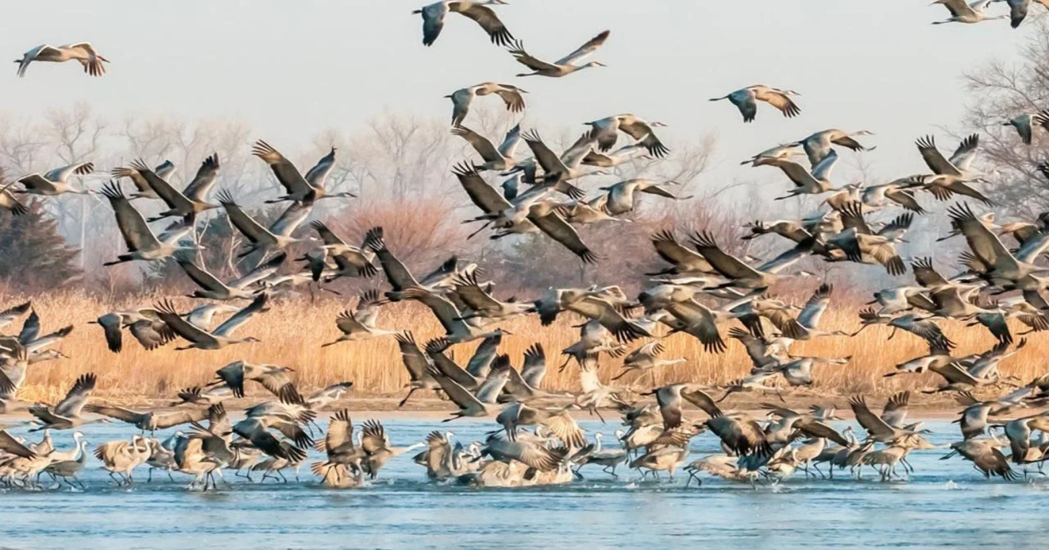 Holiday Inn Express Kearney