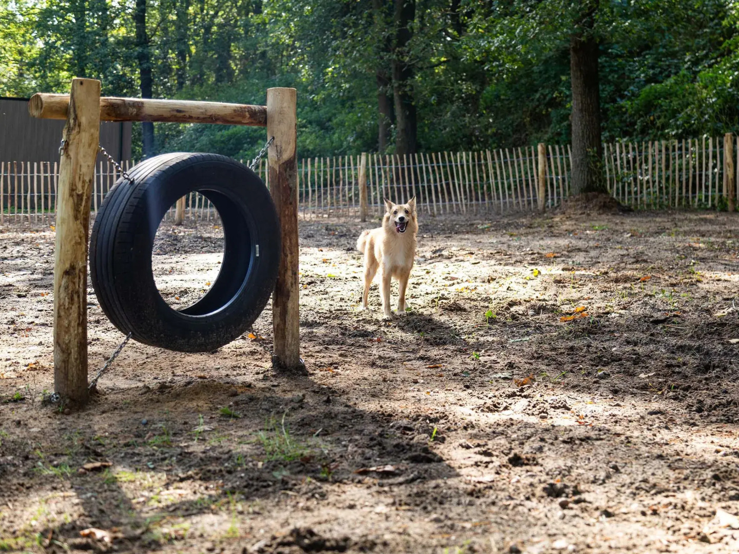 Luxurious chalet with sauna and spa, in a holiday park located near the Veluwe