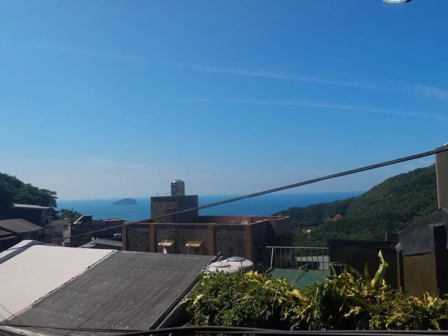 Jiufen Camellia28
