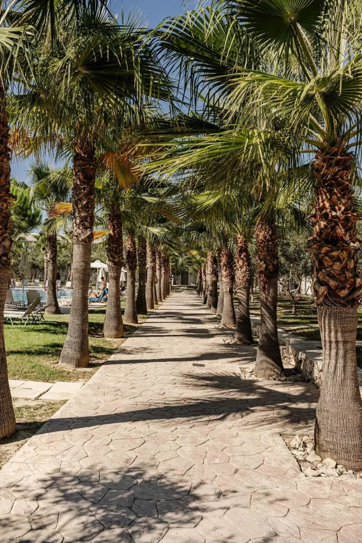 Caretta Island - All Inclusive