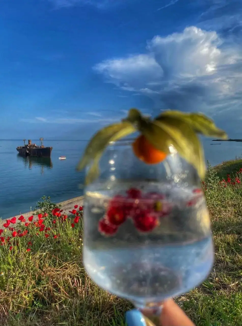 Sea&Sky Villa Costinesti