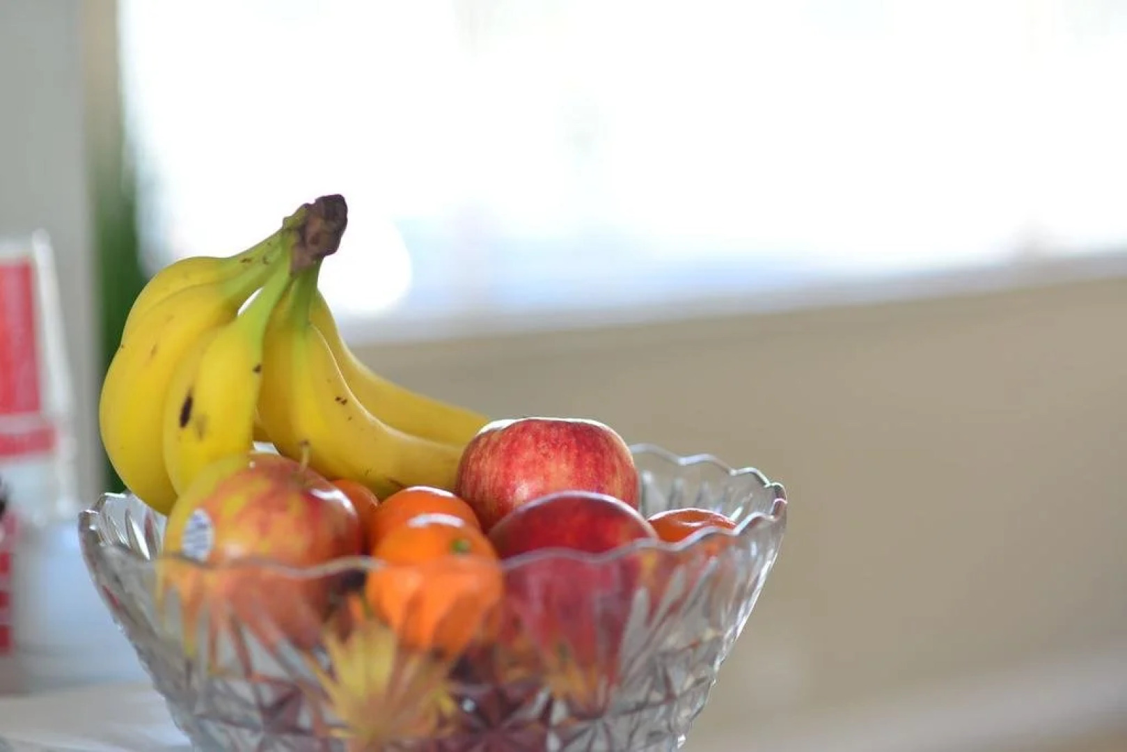 Regency Inn & Suites