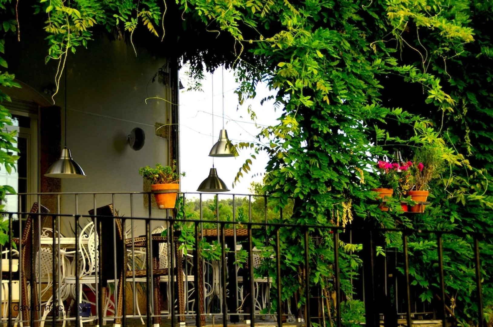 Almazara de San Pedro