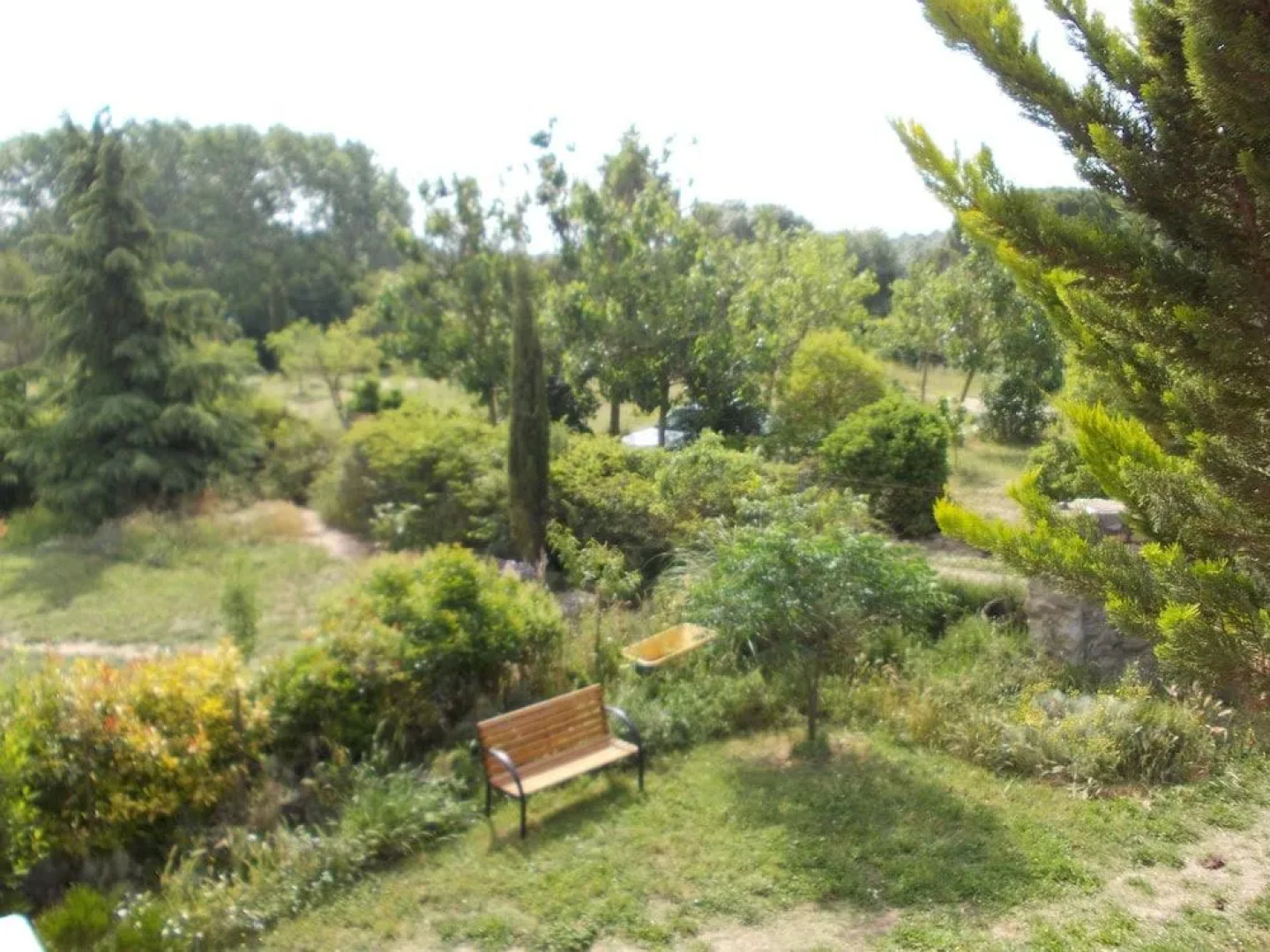 Maset de les Talaveres