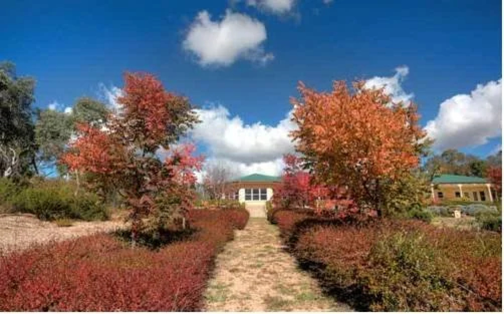 Accommodation Creek Cottages & Sundown View Suites