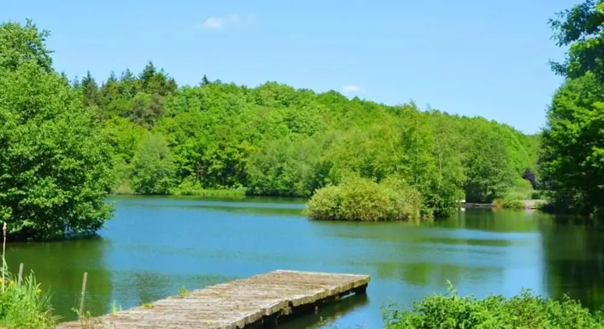 House with 5 Bedrooms in Bertogne, with Wonderful Lake View, Enclosed Garden And Wifi