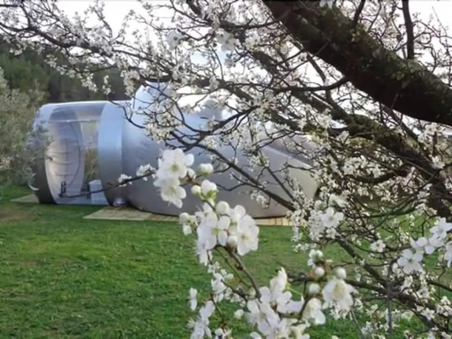 Les Chambres Bulles du Chateau Belvize