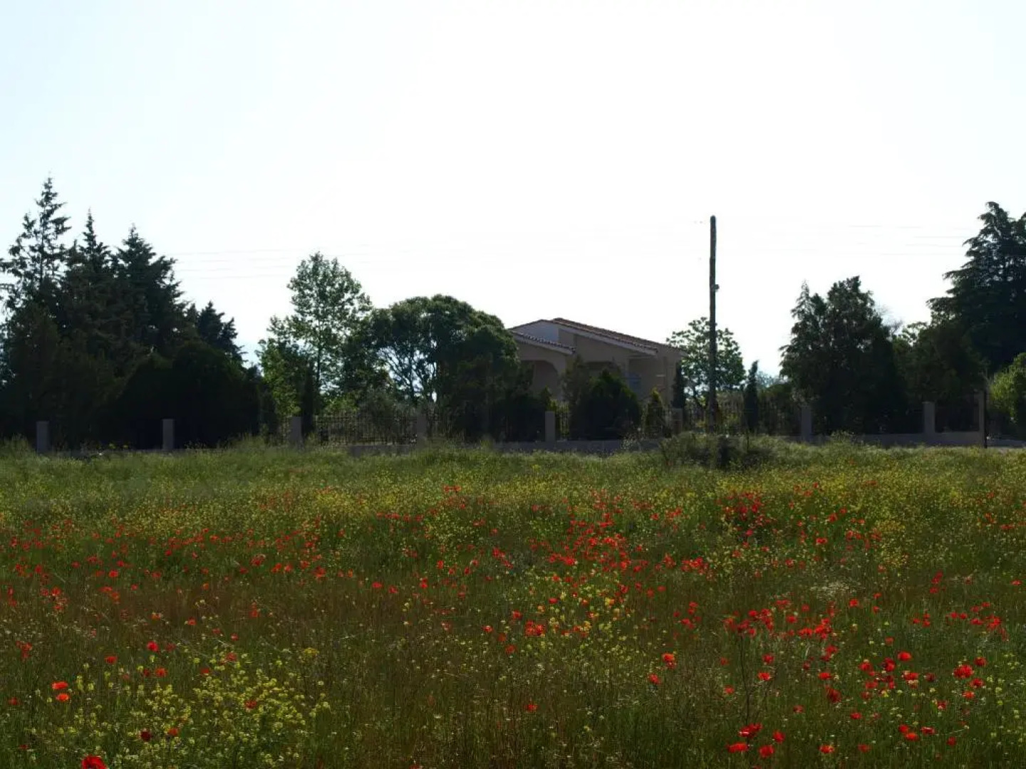 ΠΑΛΗΟΚΤΗΜΑ - Palioktima 2