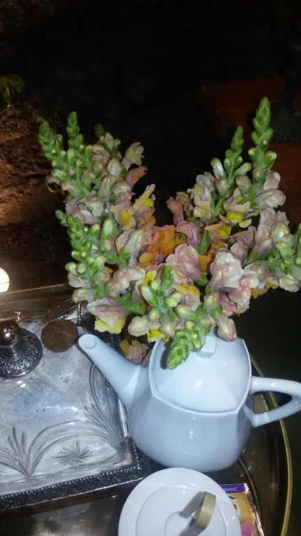 Grandmotherhouse 2-7 Pax