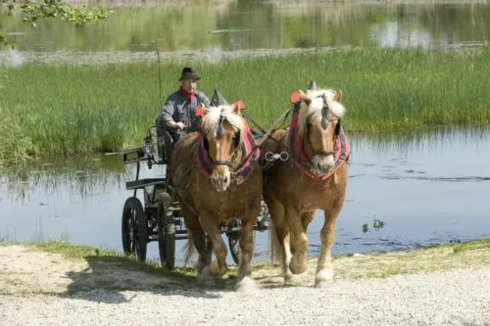 Roulotte des Greppes