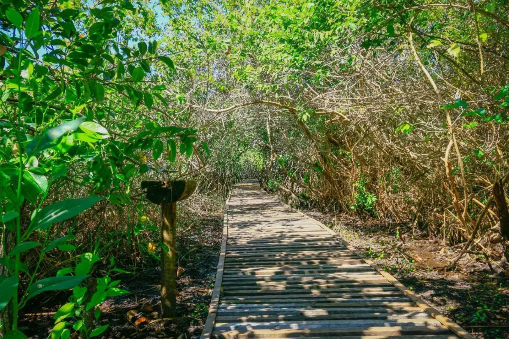 Pousada Ecologica Bangalo de Praia
