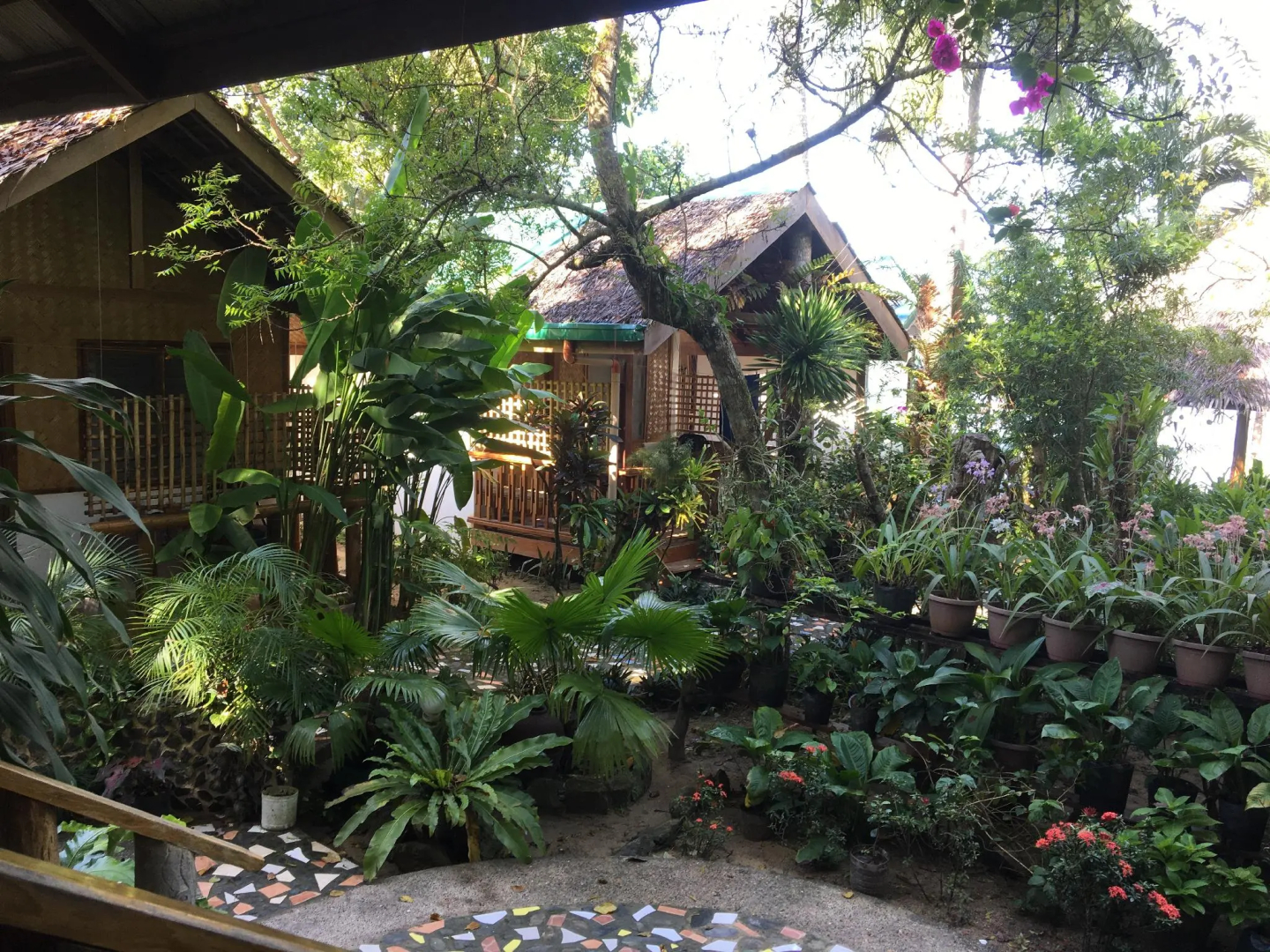 Golden Monkey Cottages
