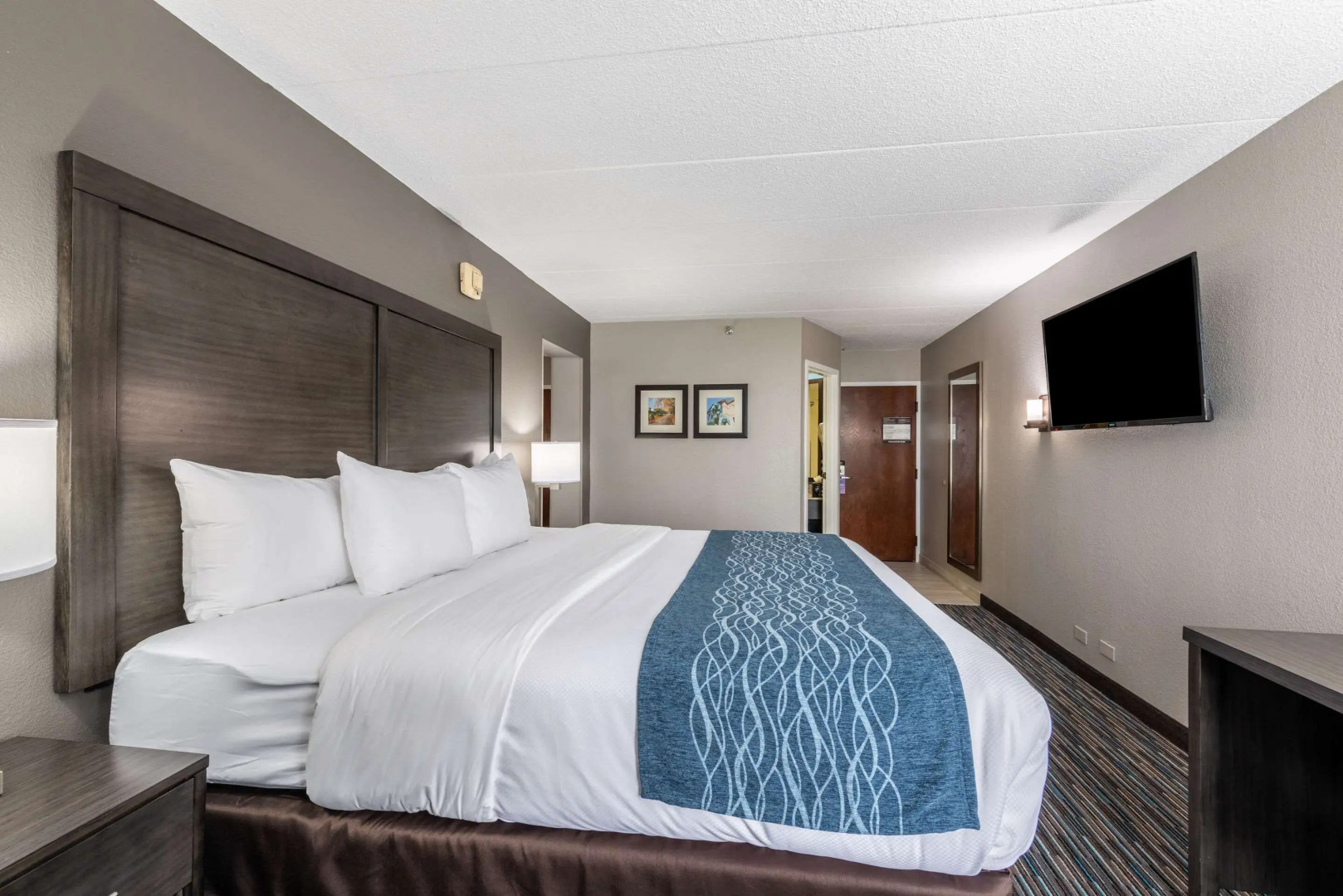 Comfort Inn Chicago Schaumburg - O'Hare Airport