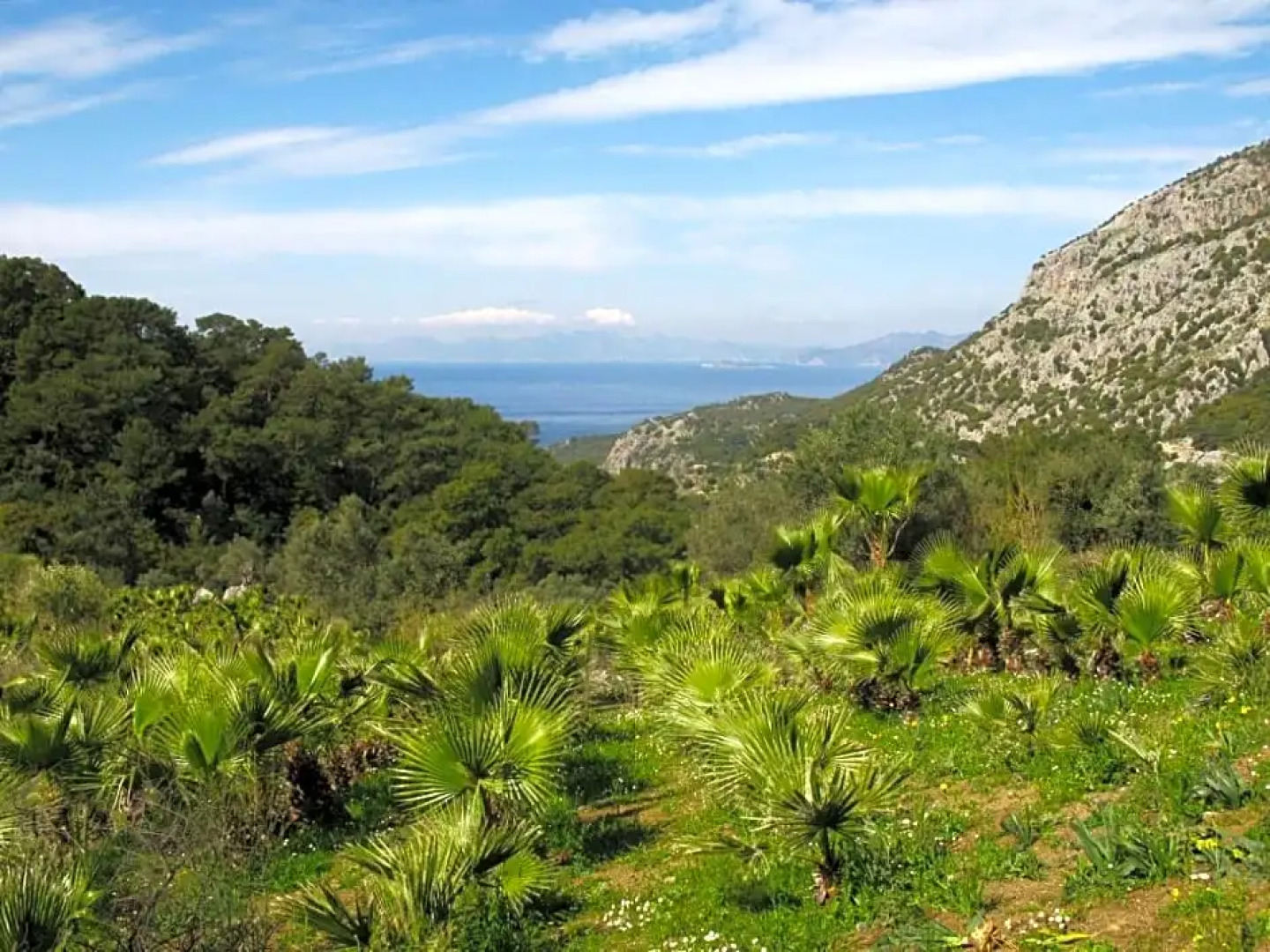 Palm House Dalyan