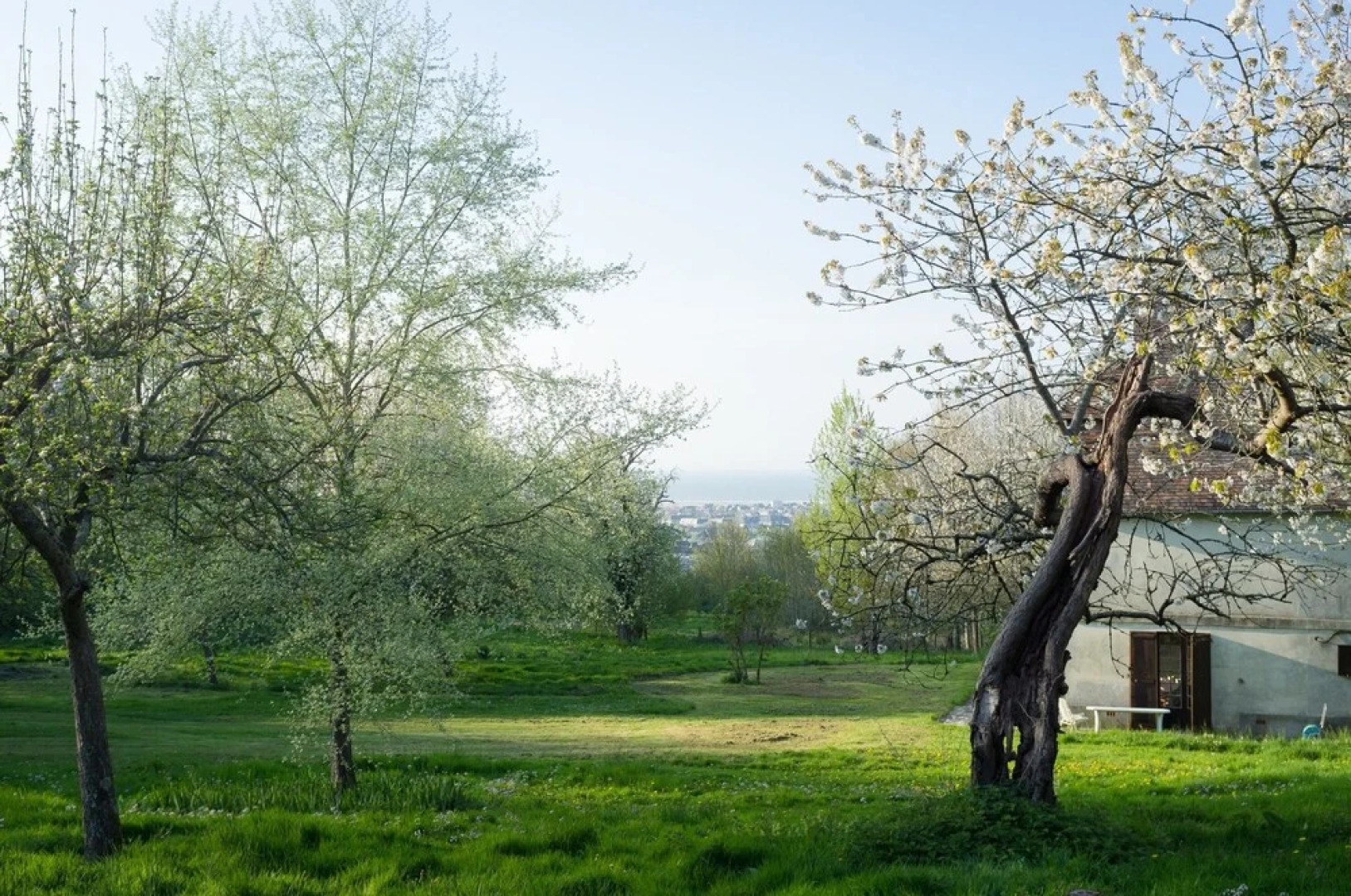 Mansion With 3 Bedrooms in Dives-sur-mer, With Wonderful sea View, Furnished Garden and Wifi - 3 km From the Beach