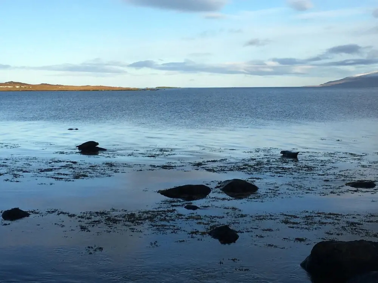 Borgir - The House by the Sea