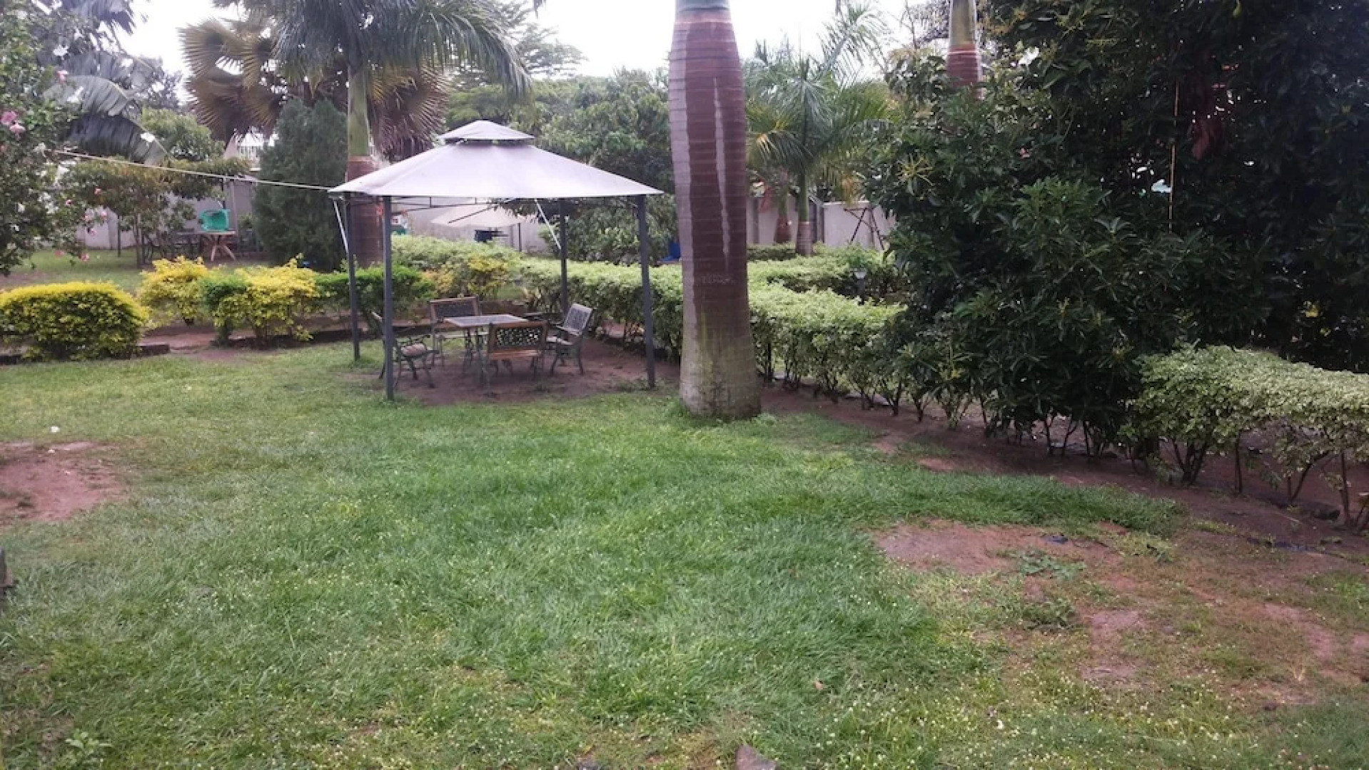 Blue Dove Hotel Arua