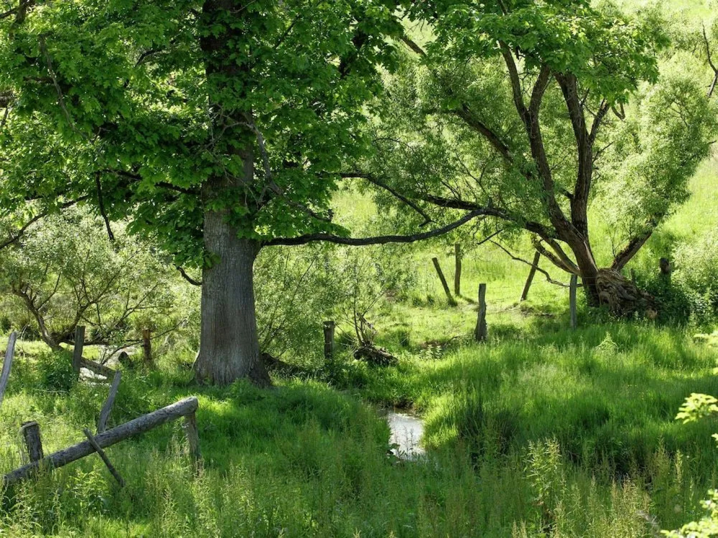 Vacation Home with Sauna