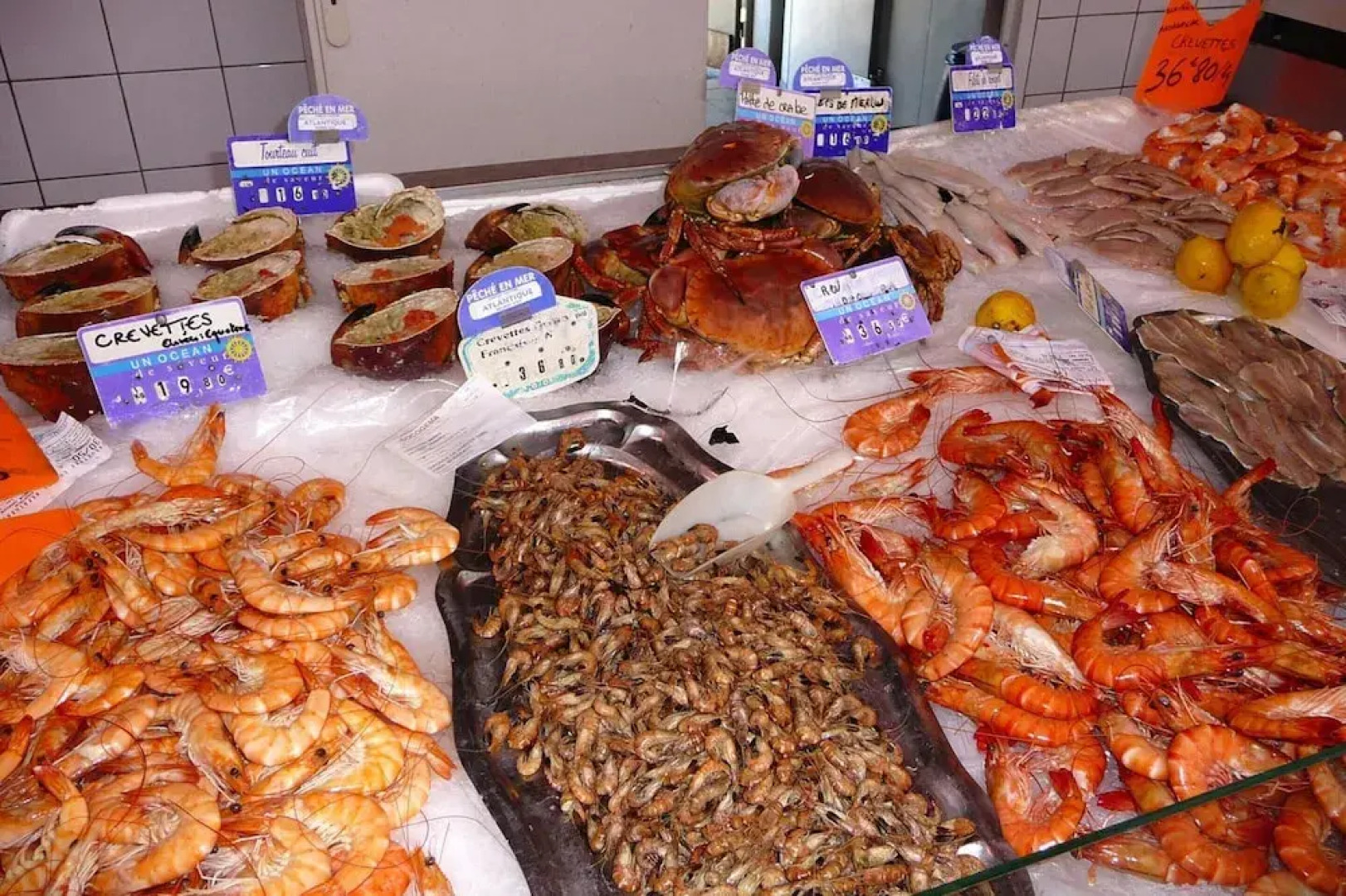 Heritage Mansion on Arcachon Bay