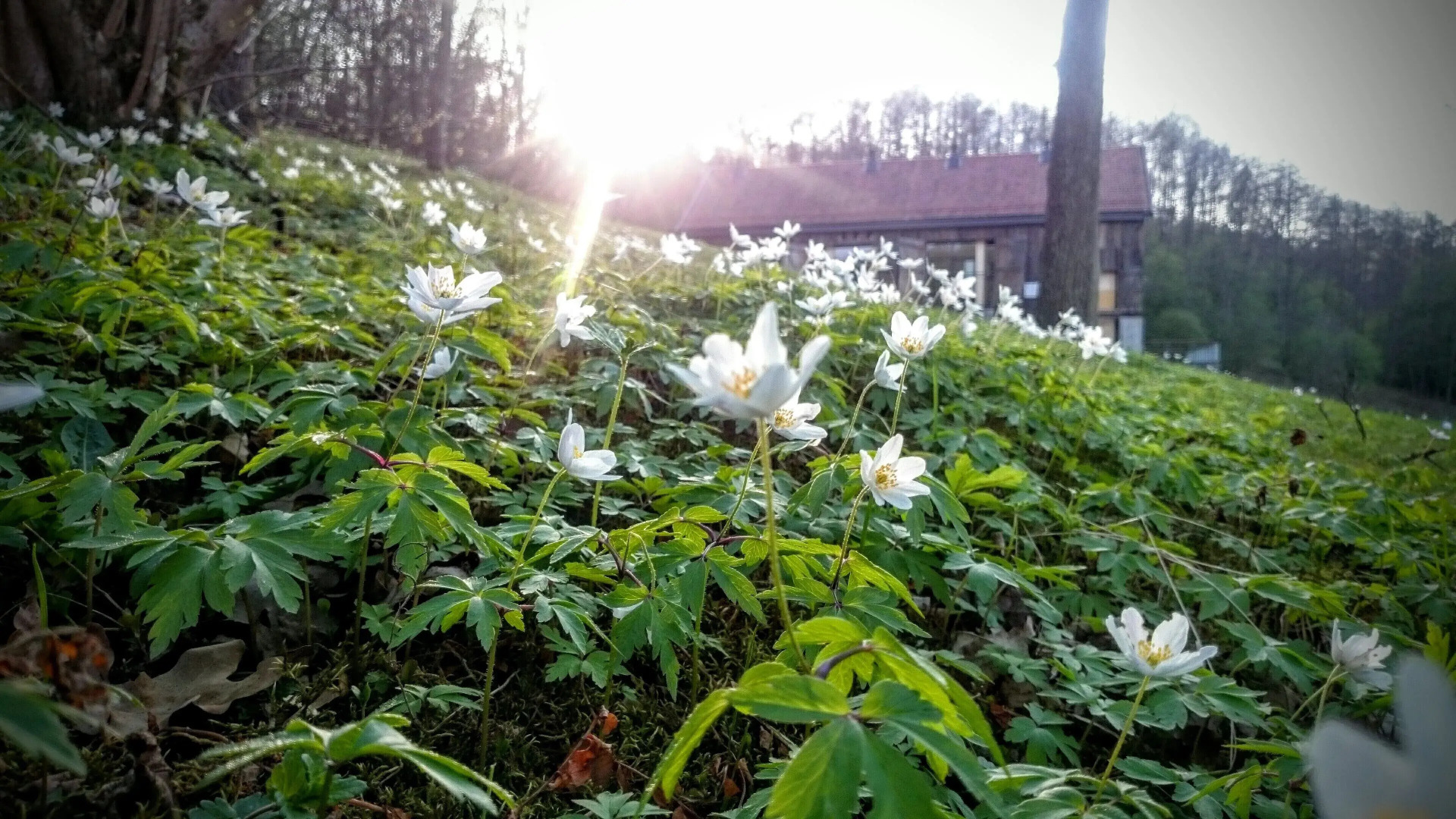 Młyn Klekotki spa resort