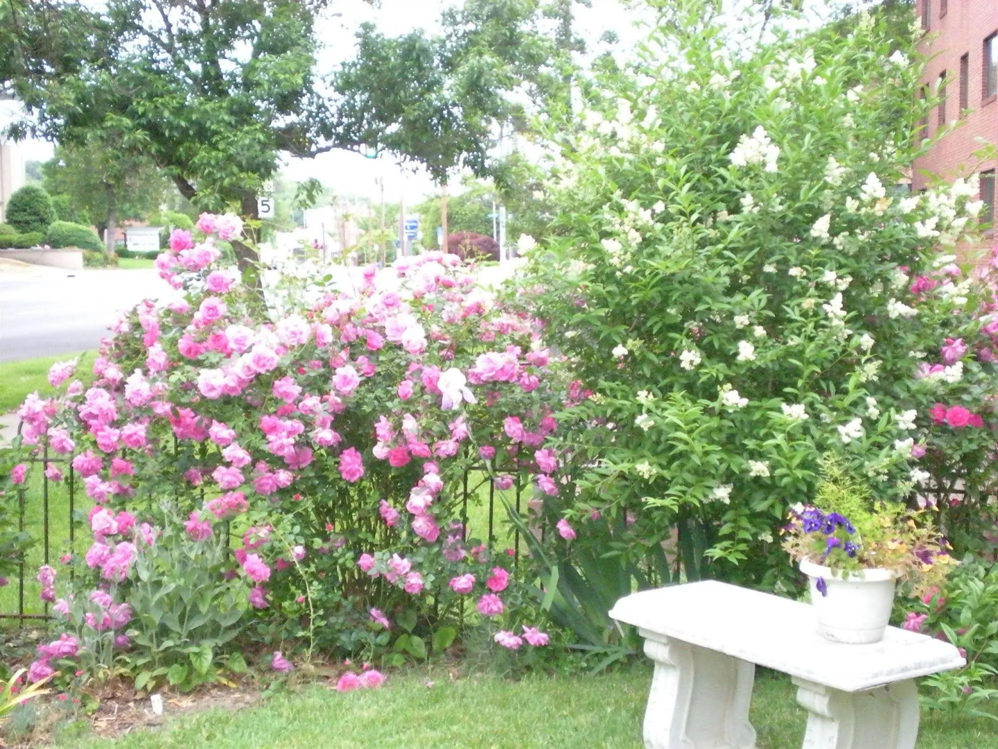 Belle Hearth Bed and Breakfast