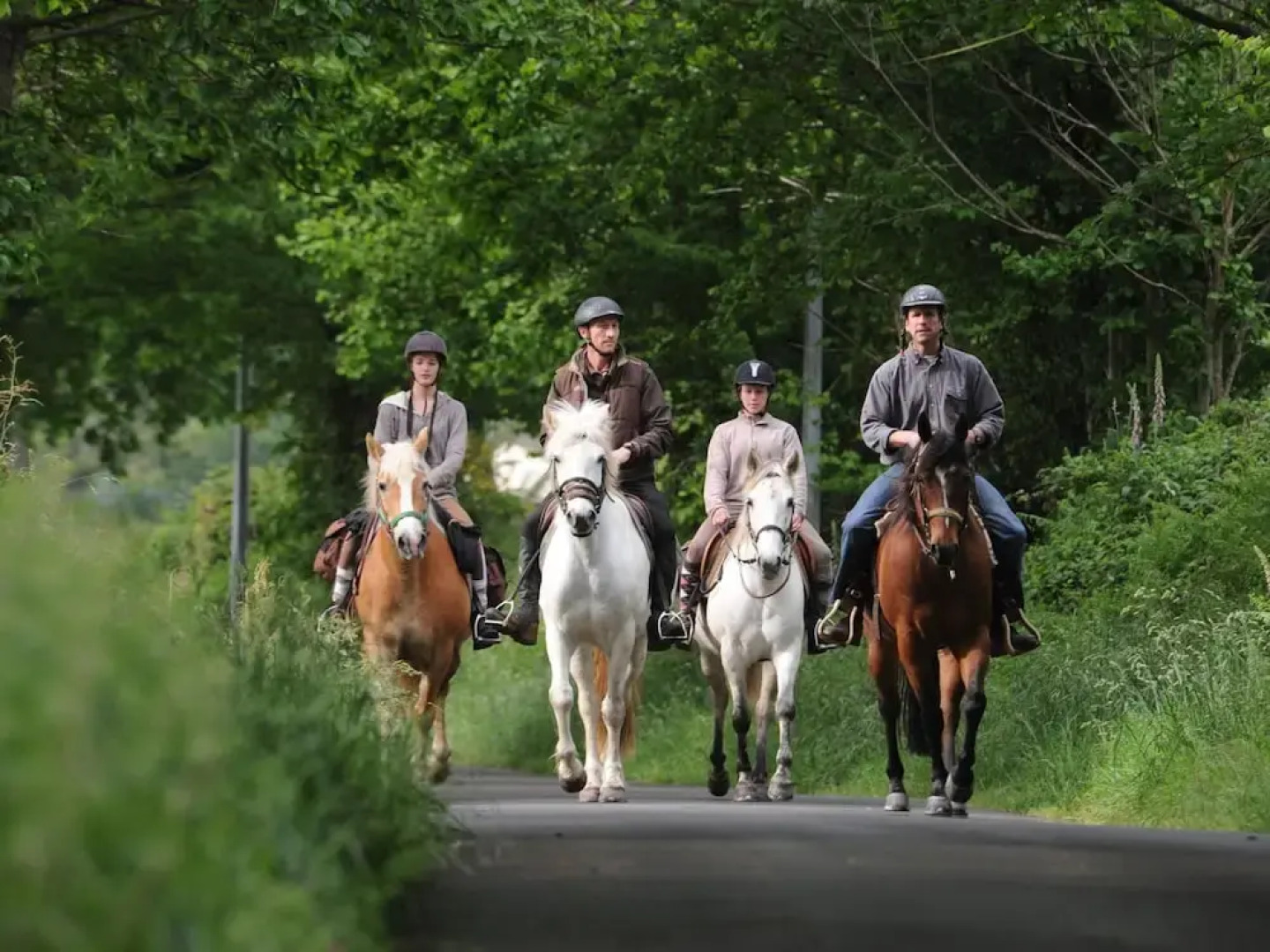 Hilltop Cottage With Pool
