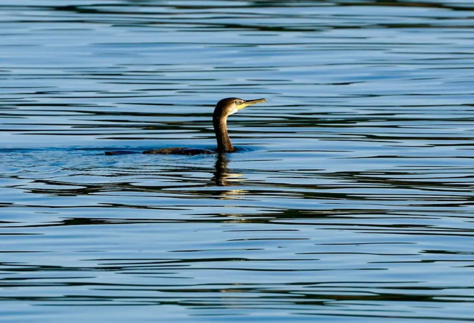 Sonnenhof Damnatz -Hotel garni-