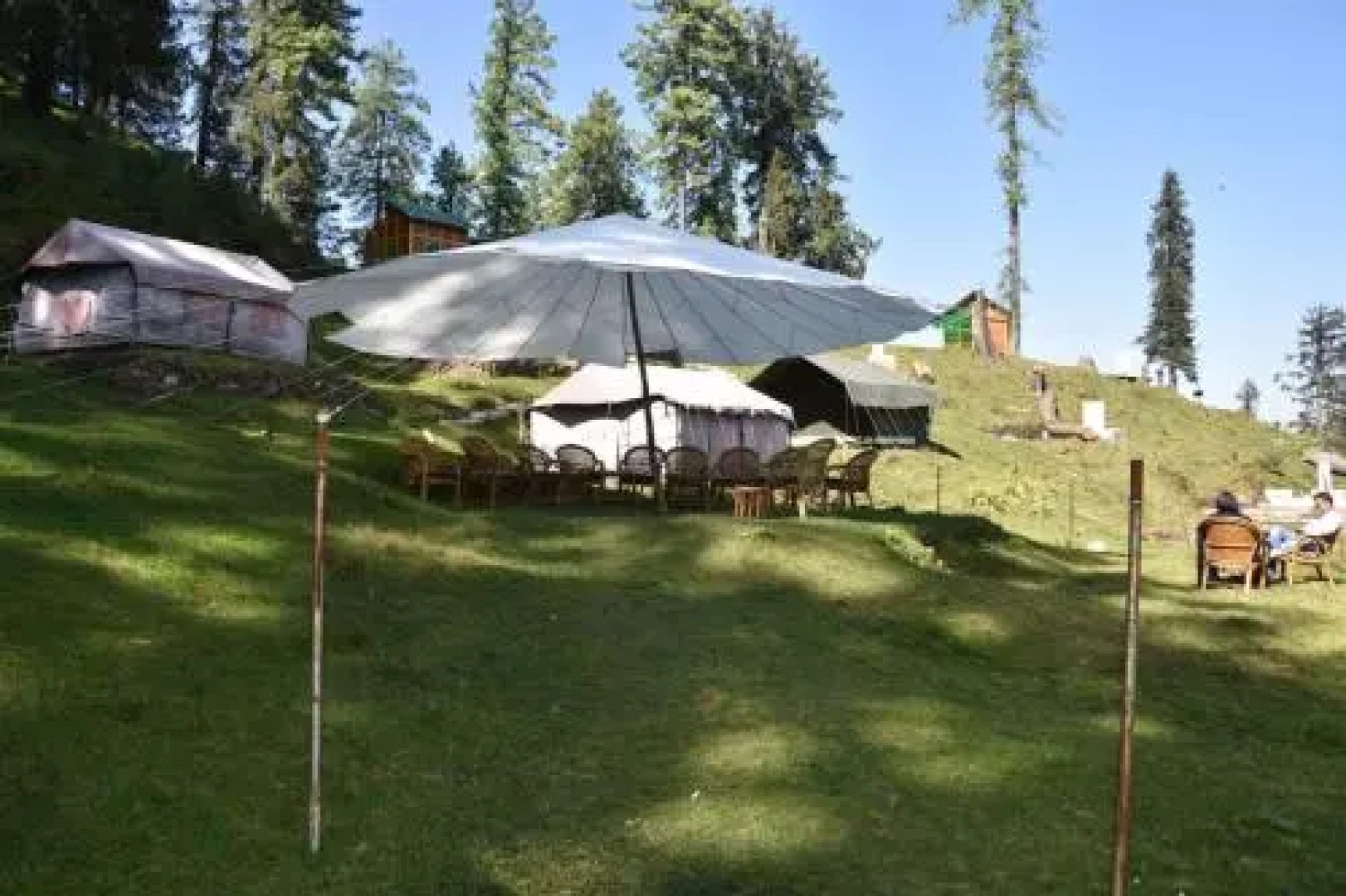 Nature Camp Forest Corporation