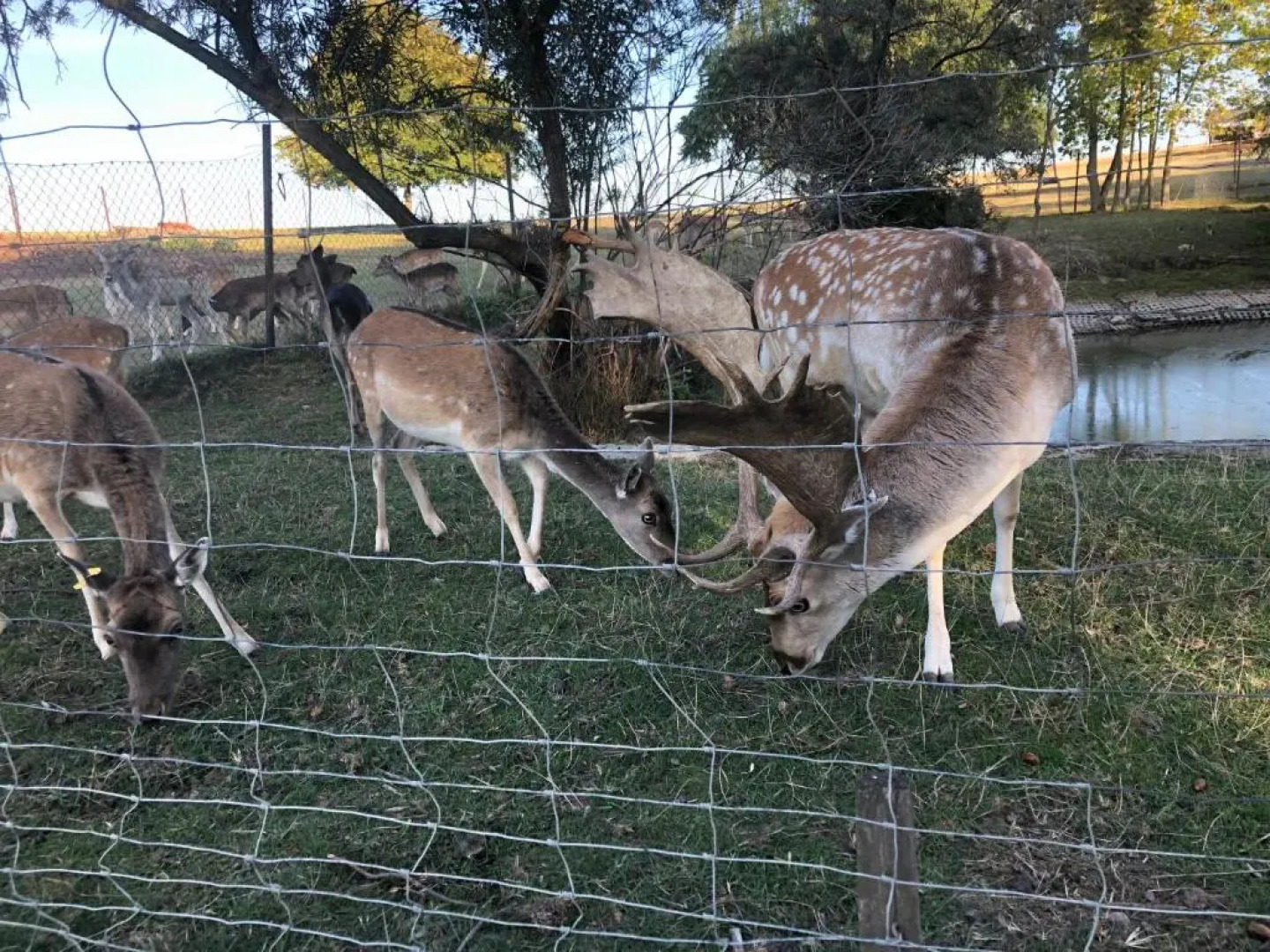 Seeblick Apartments Mühlau
