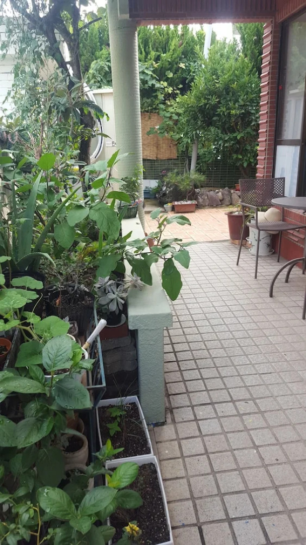 Wellbeing Guesthouse