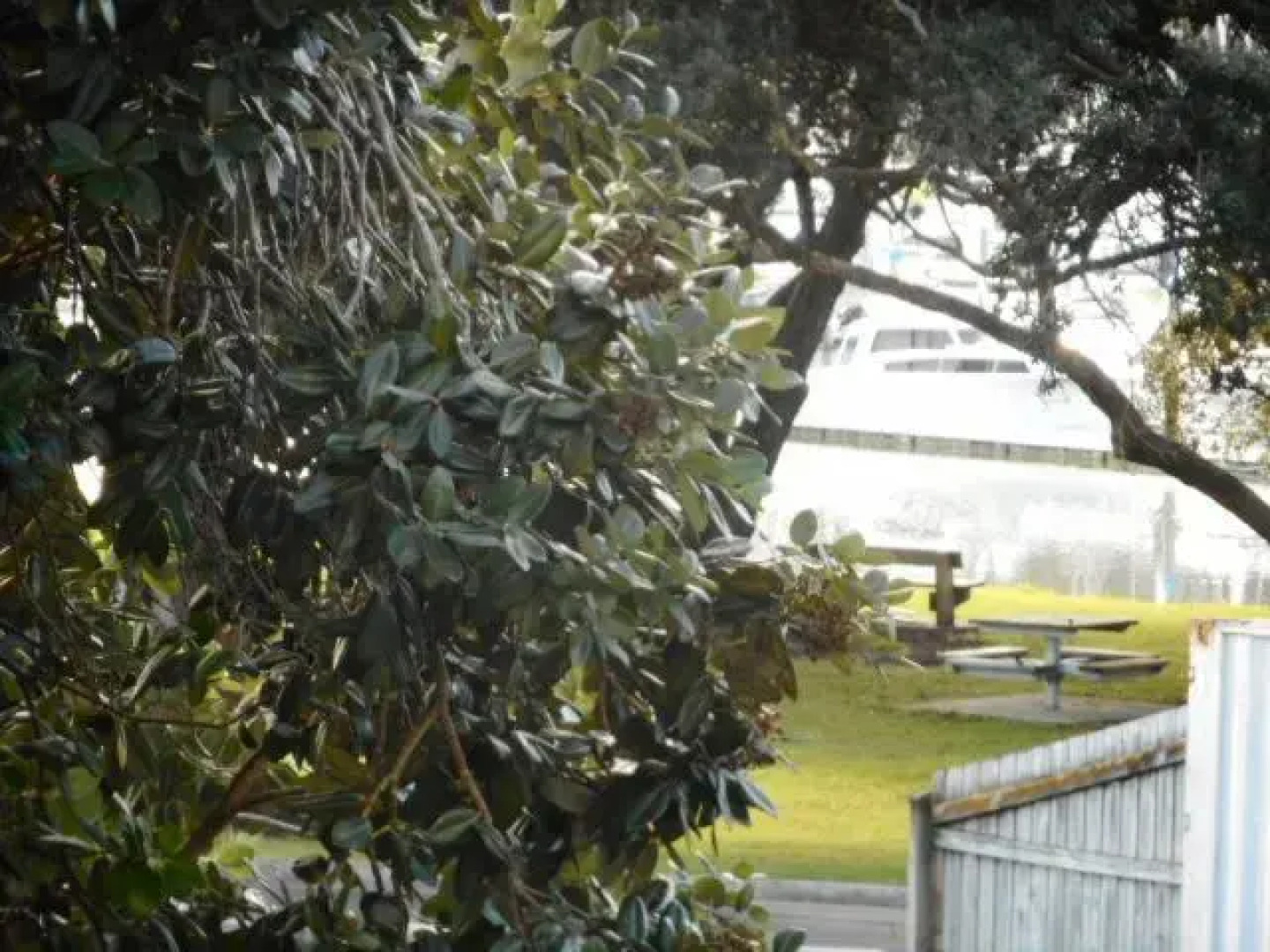 Apartment by the Marina