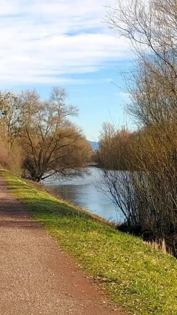 Au jardin de la Maison des Soeurs