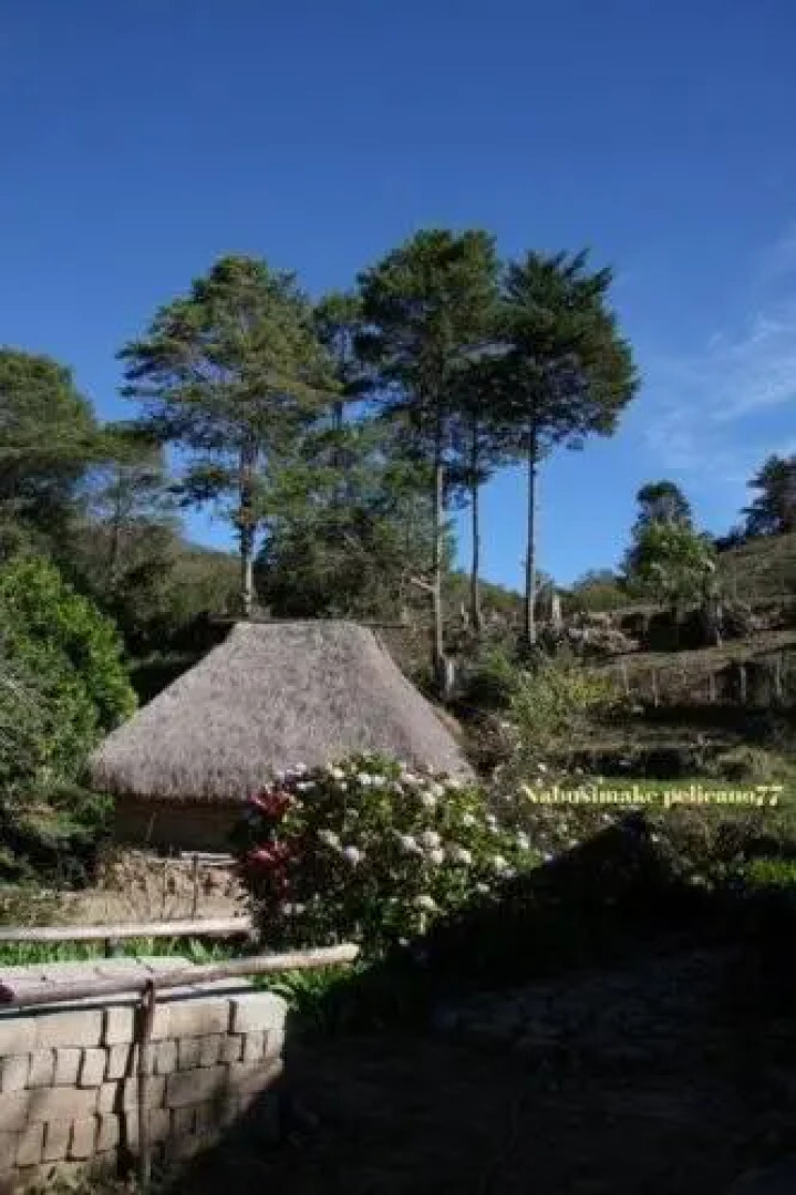 Nabusimake Hospedaje Sra Mariangela